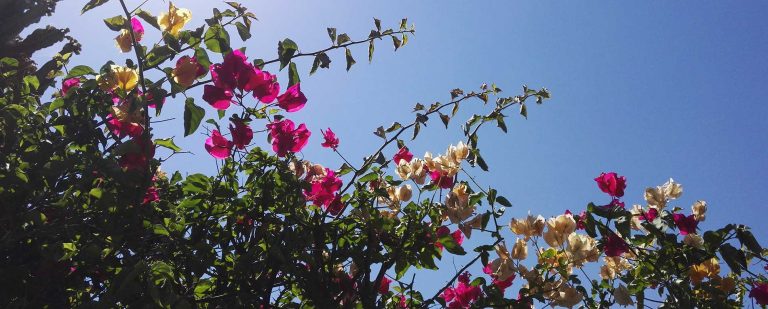 How to make sensitivity your power?