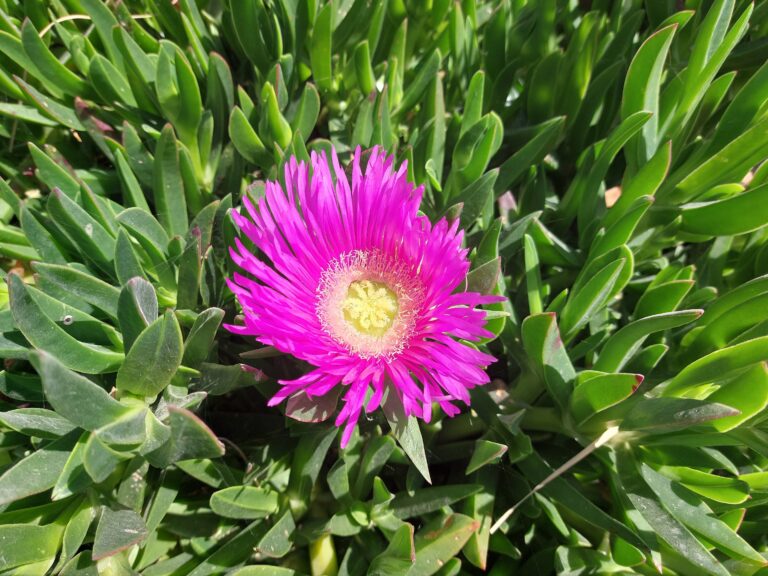 Are you a highly sensitive person?